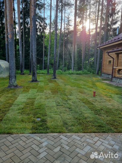 Дренаж,Мощение,Газон