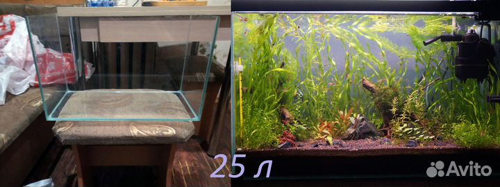 Обслуживание аквариумов