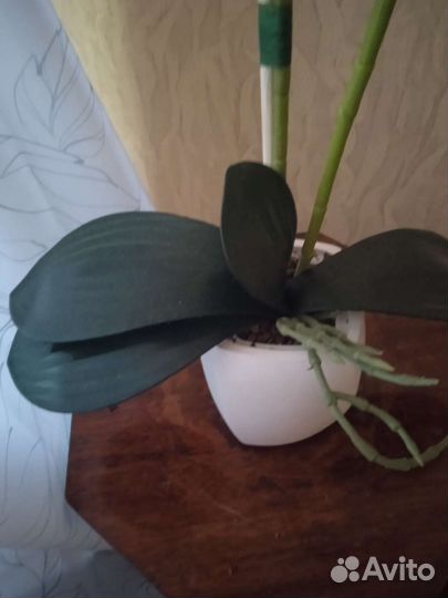 Орхидея искусственная