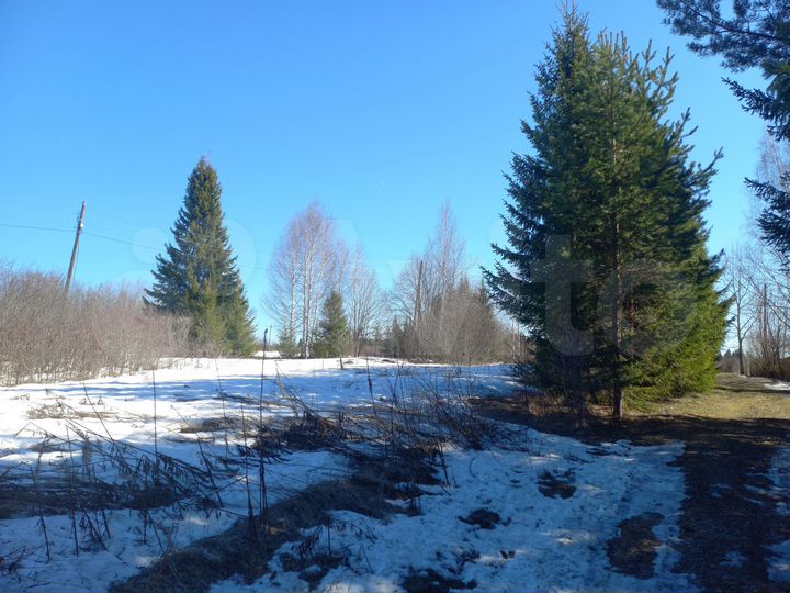 Участок 16 сот. (СНТ, ДНП)