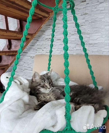 Плетёный гамак для кошек