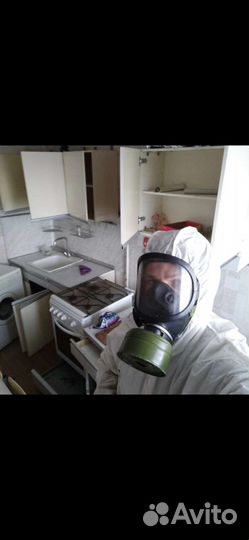 Уничтожение Клопов Тараканов Блох Клещей