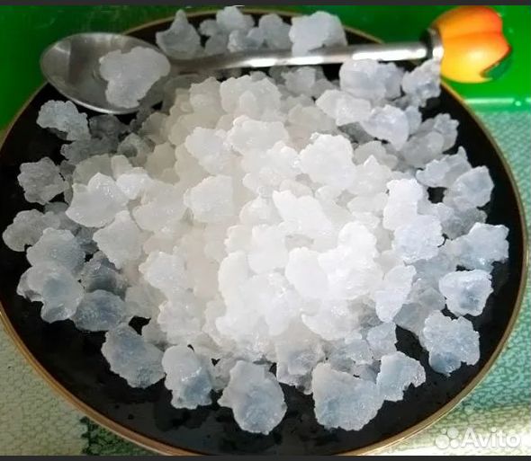 Рисовый гриб