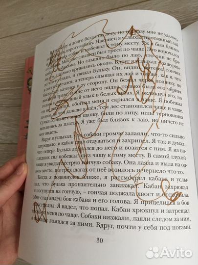 Заходер книги Толстой Паддингтон Сыщик Хват