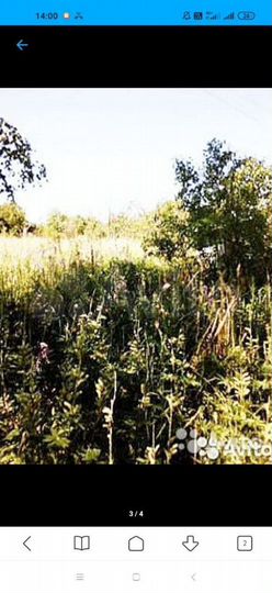 Участок 24 сот. (СНТ, ДНП)