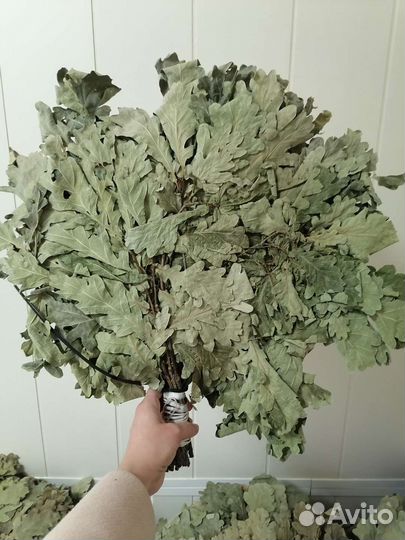Веники дубовые
