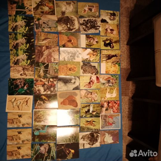 Открытки СССР разные