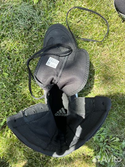Боксерки adidas box hog 2