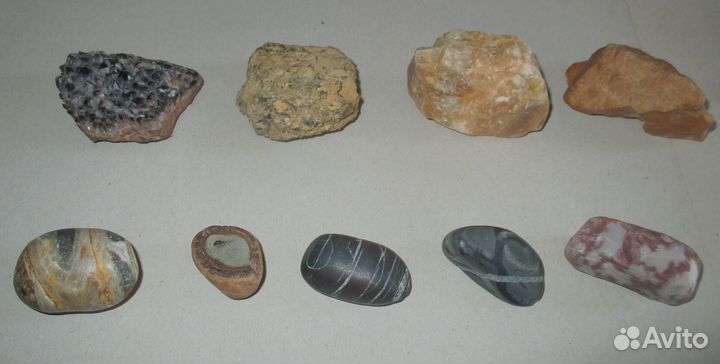 Морские ракушки и камни