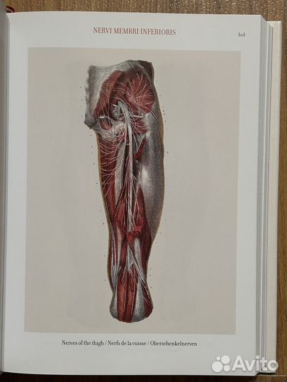 Atlas of human anatomy and surgery