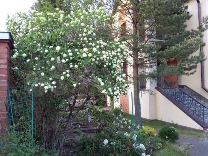 Дом 302,6 м² на участке 13 сот.