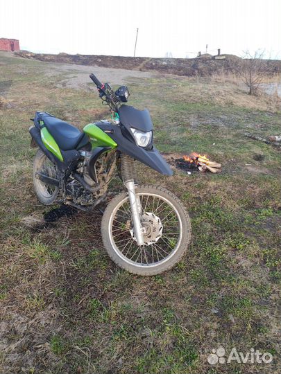 Racer ranger 200