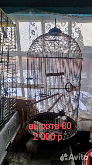 Клетки для попугаев