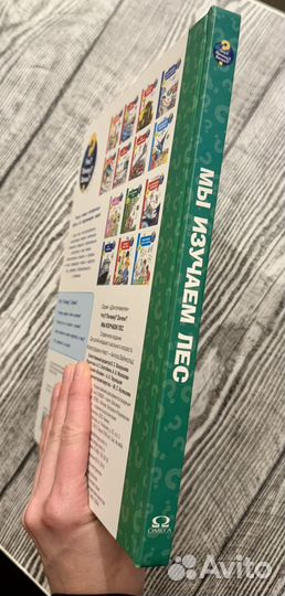 Что Почему Зачем Мы изучаем лес