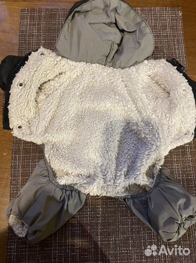 Одежда для собак