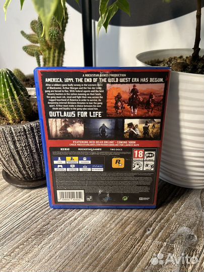 Red dead redemption 2 ps4