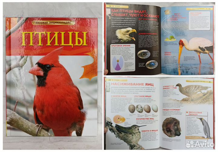 Детские энциклопедии