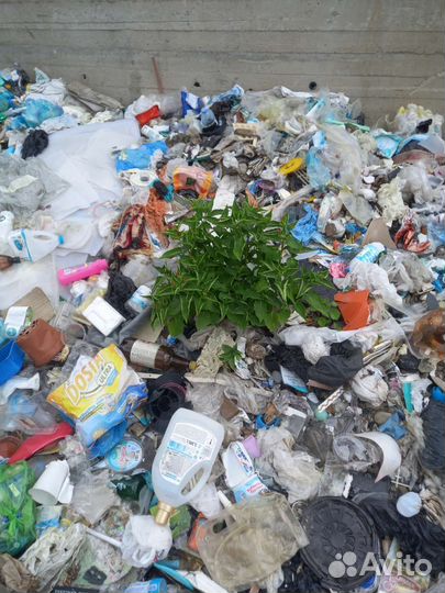 Вывоз мусора