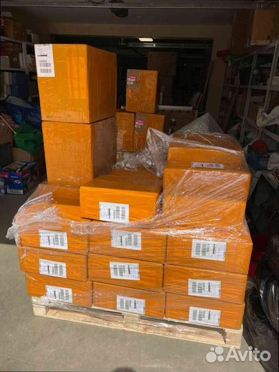 Топовый асик Goldshell e-ka1m под заказ