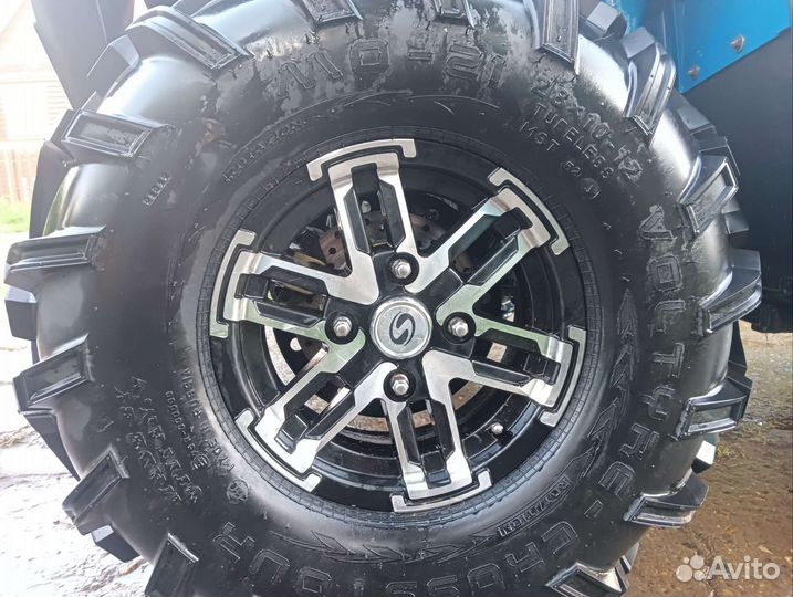 Стелс леопард