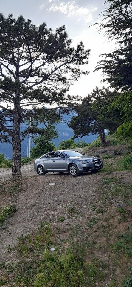 Audi A6: фото владельца