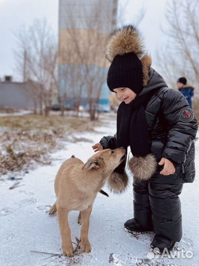 Зимний костюм для мальчика