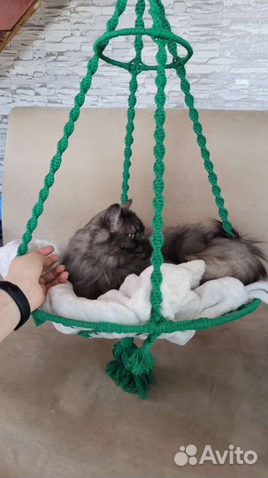 Плетёный гамак для кошек