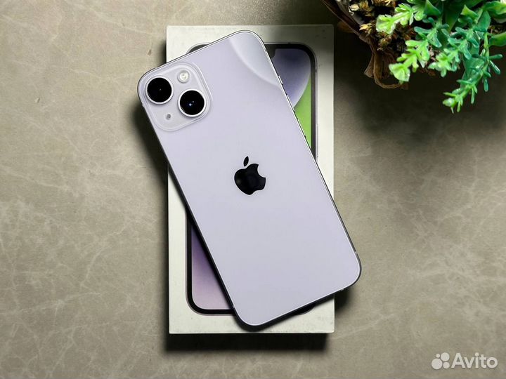 iPhone 14 Plus, 256 ГБ