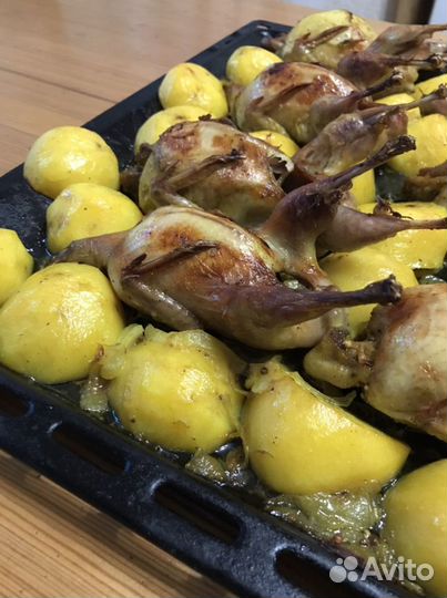 Яйцо и мясо перепелинное. Аргази,Байрамгулово