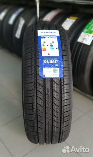 Rydanz Raleigh R06 225/60 R17 99V
