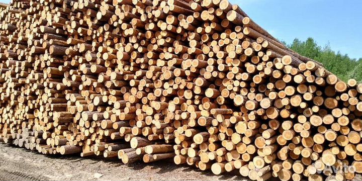 Балансы хвойные