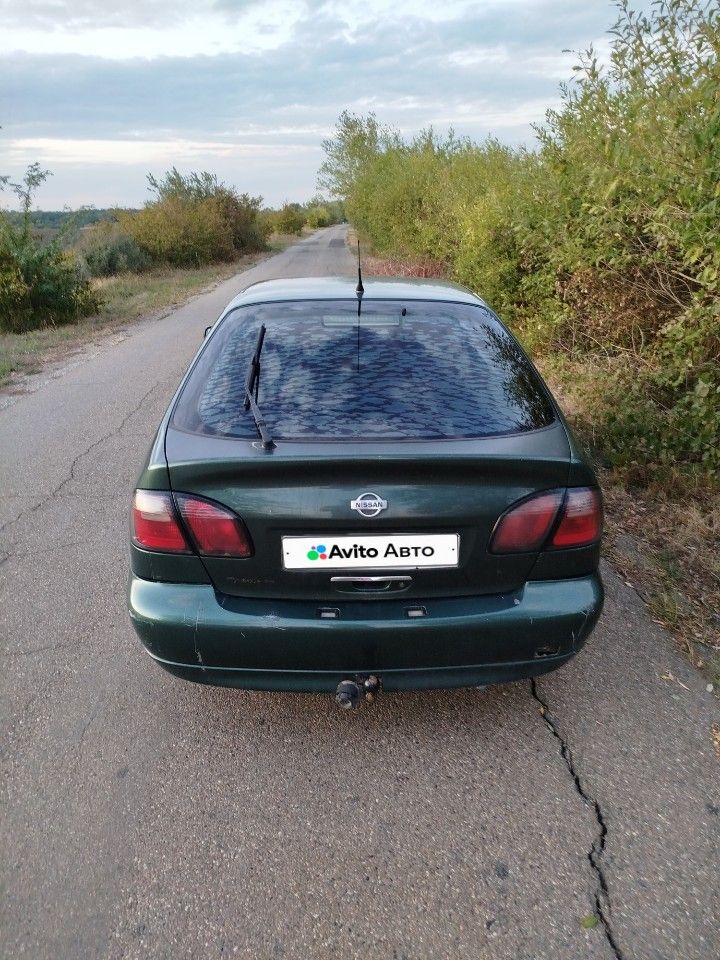 Nissan Primera: фото владельца