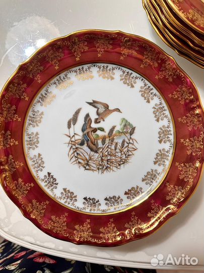 Подтарельник царская охота