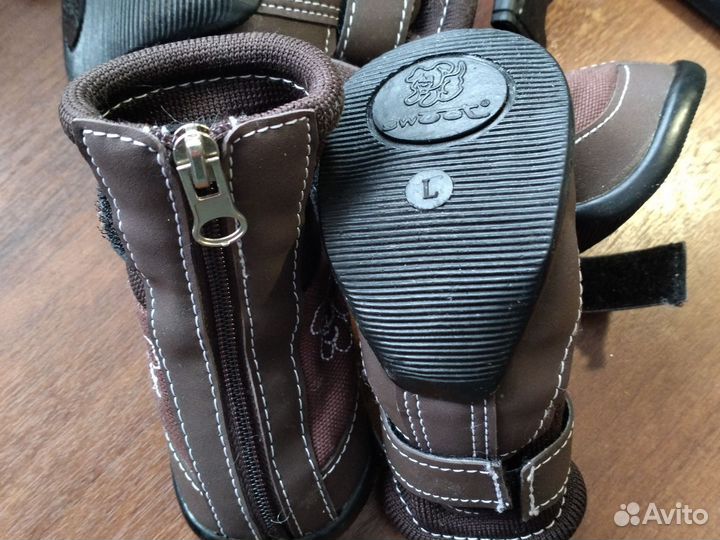 Одежда для собак