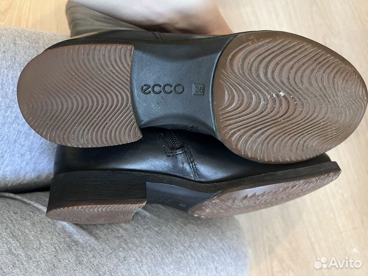 Сапоги женские Ecco 36