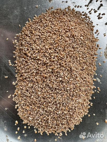 Пшеница крупка в мешках 35 кг