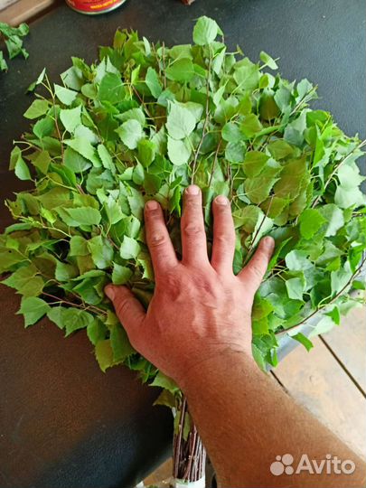 Венички берёзовые