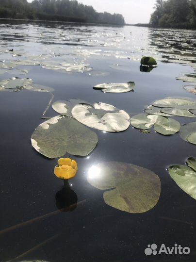 Sup board/сапборд в прокат/сап борд аренда/сапборд
