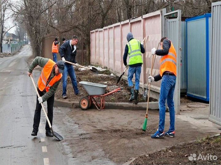 Разнорабочие без посредников