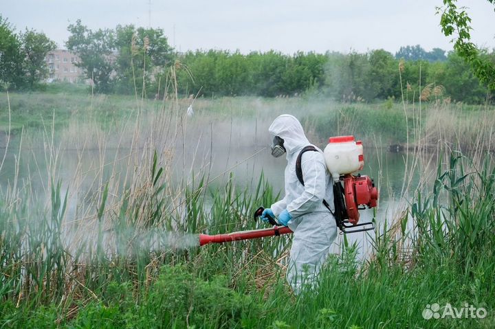 Обработка участка от комаров,тли,мошек, клещей