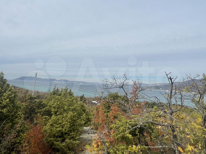 Участок 4,2 га (СНТ, ДНП)