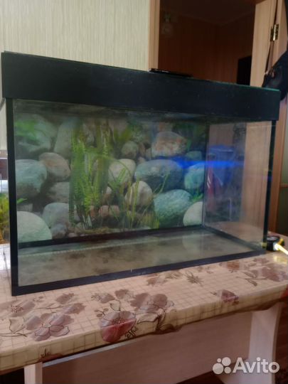 Аквариум
