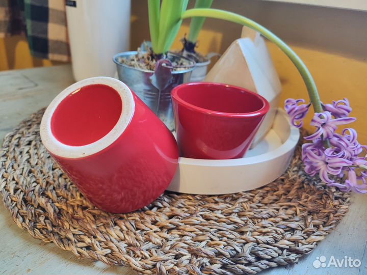 Горшок для цветов кактусница