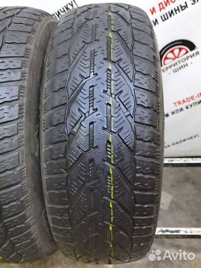 Tigar Winter 195/65 R15 95T