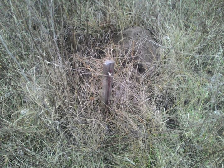 Участок 12 сот. (СНТ, ДНП)