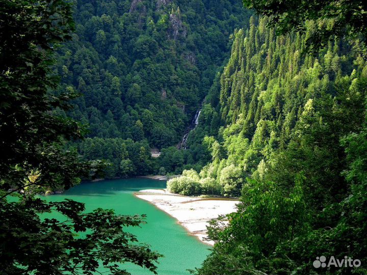 Тур путевка в Абхазию 7 нч завтрак