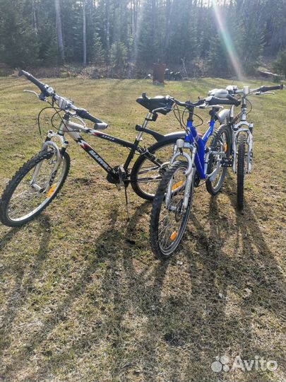 Прокат велосипедов