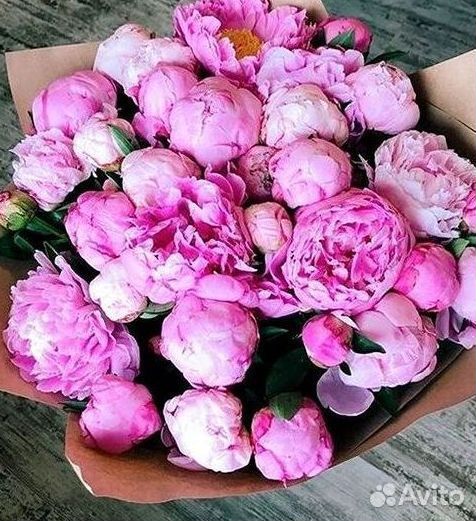 Пионы Букет пионов