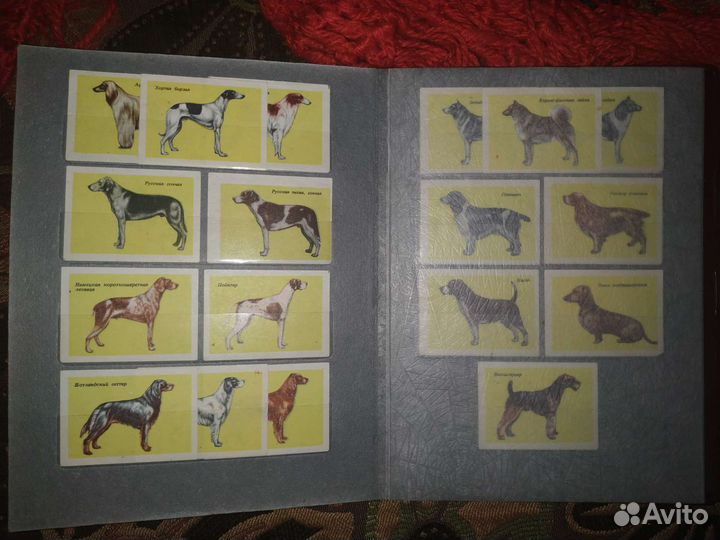 Календарики этикетки СССР собаки голуби растения