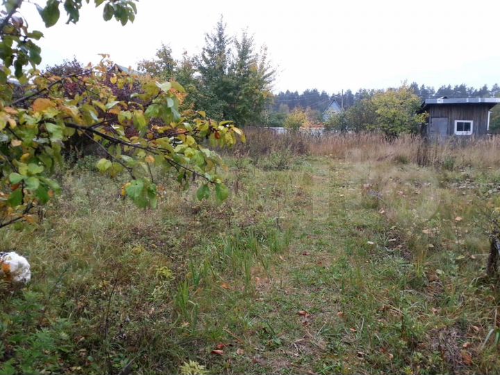 Участок 6 сот. (СНТ, ДНП)